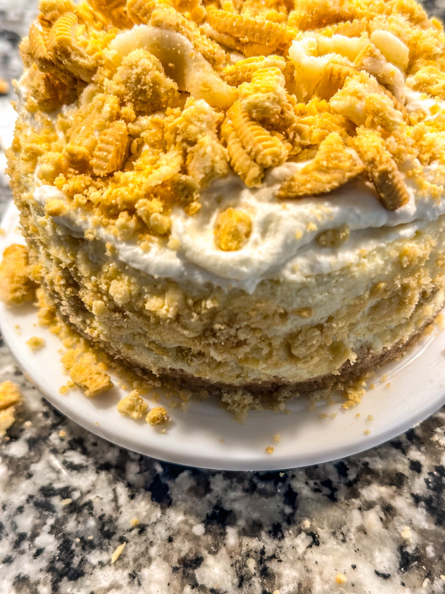 Vanilla Oreo Cookies & Cream Cheesecake