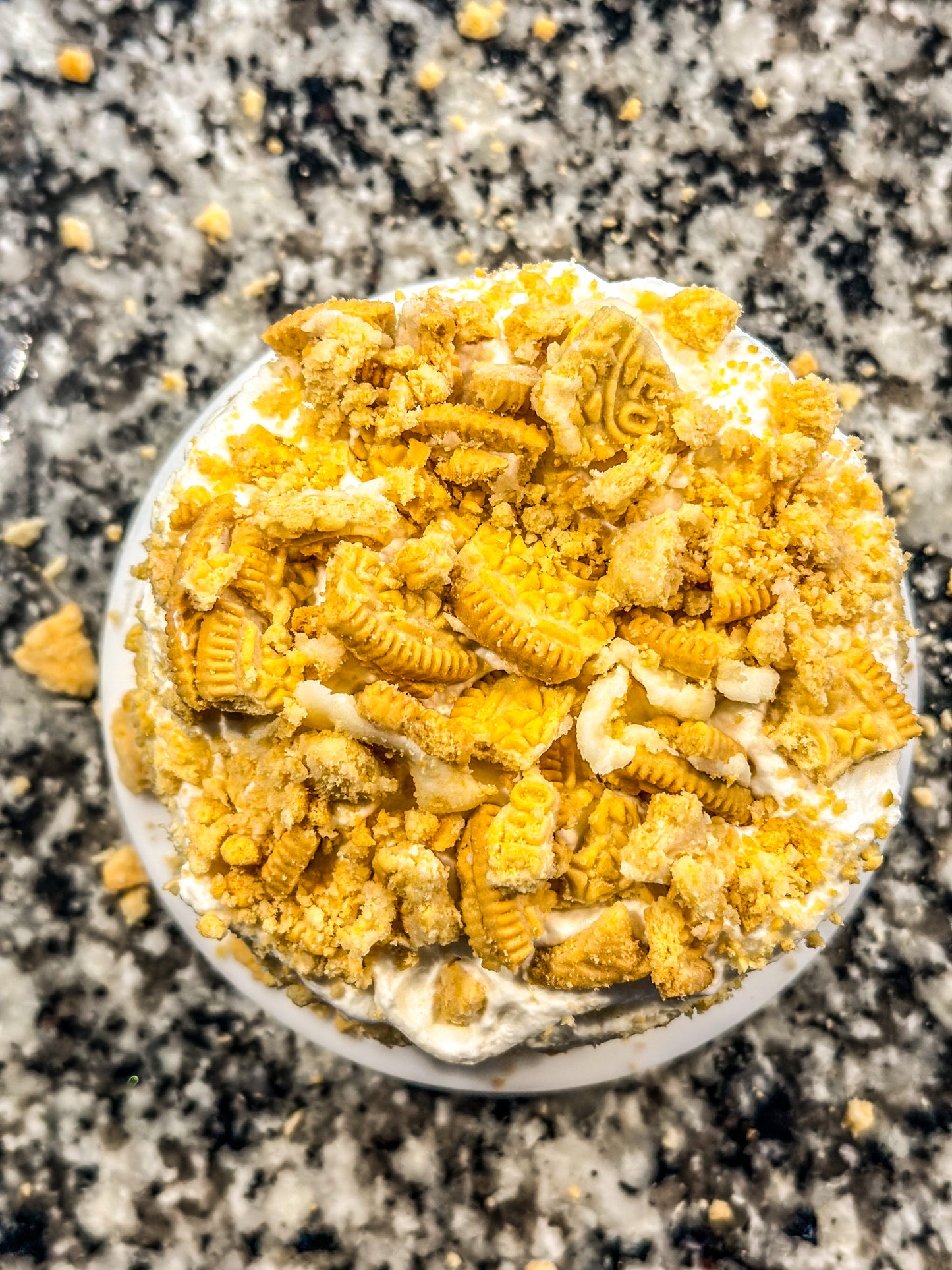 Vanilla Oreo Cookies & Cream Cheesecake