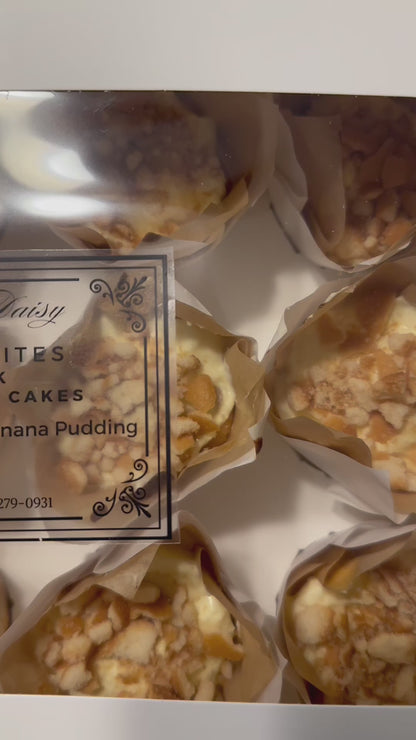 Dainty Bites 12 Pack Mini Cheesecakes